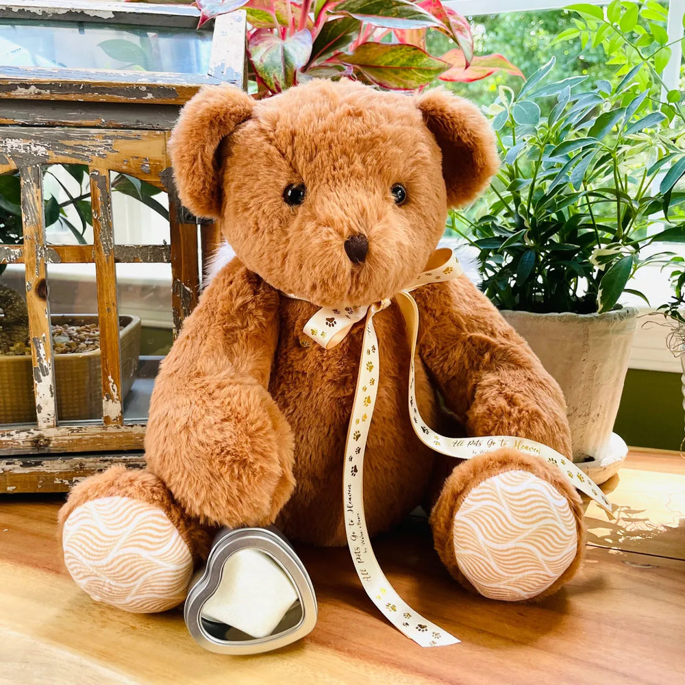 teddy bear urn for pet ashes