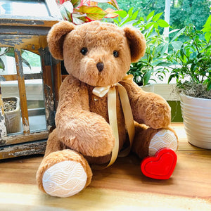 bear with voice recorder