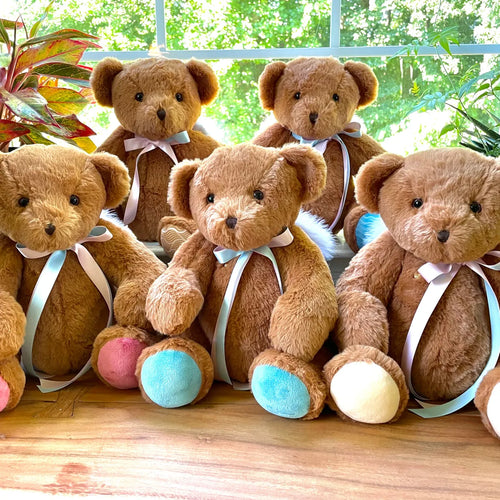 5 lb teddy bear for hospital