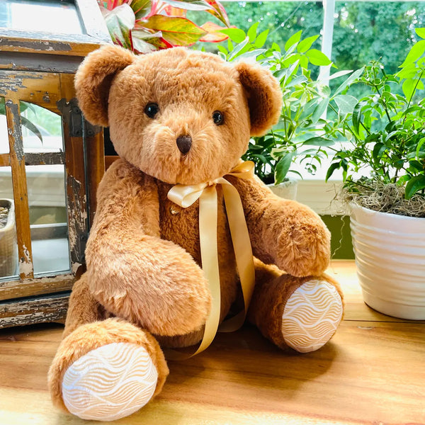 heartbeat bear with recorder