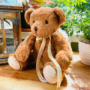 teddy bear urn for pet ashes