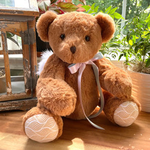 5 lb teddy bear for hospital