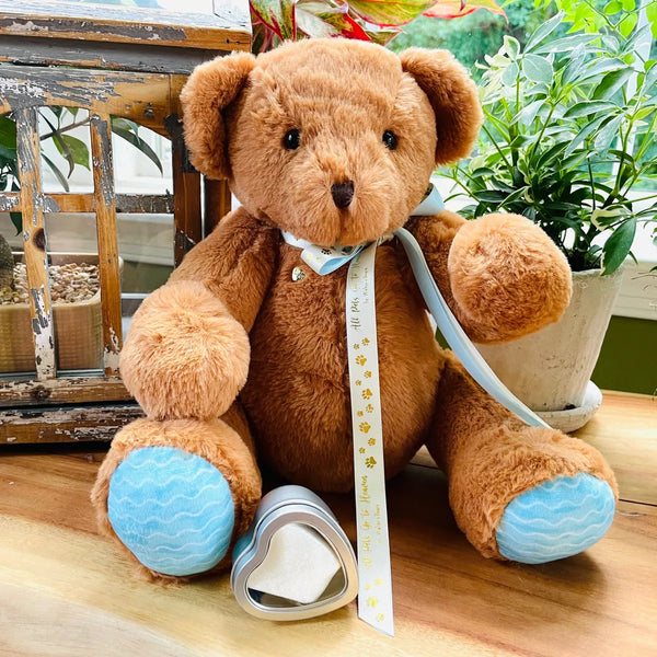 teddy bear urn for pet ashes