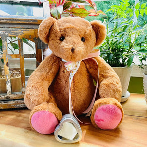 teddy bear urn for pet ashes
