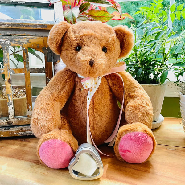 teddy bear urn for pet ashes