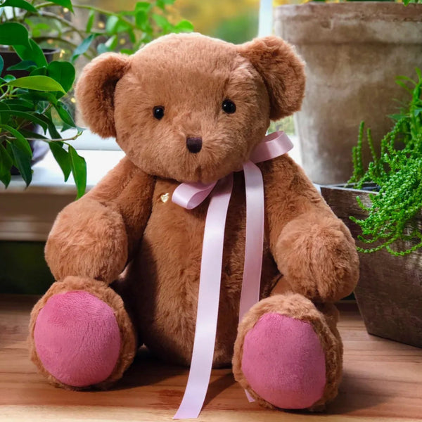 heartbeat bear with recorder