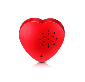 60 second heart shaped voice recorder