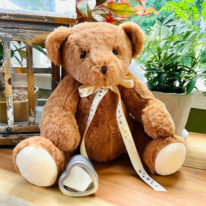 teddy bear urn for pet ashes