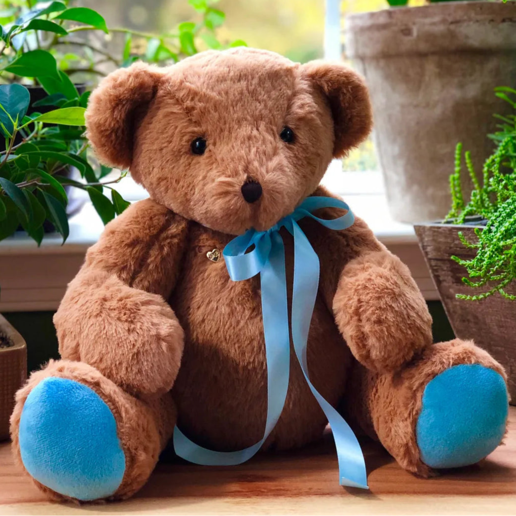 Recordable Teddy Bear: Voice Recording Gift, Blue Paws