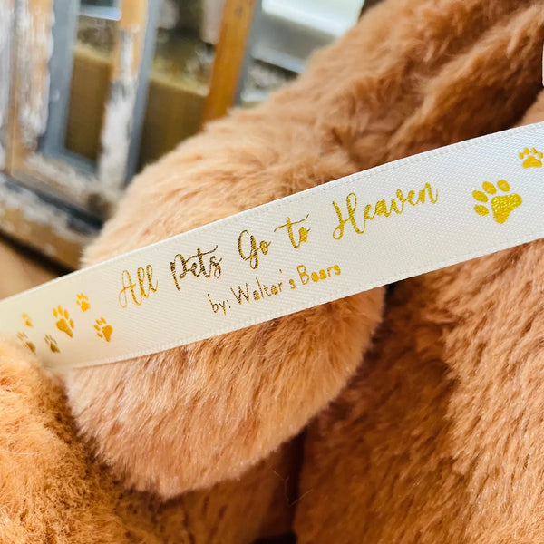 teddy bear urn for pet ashes