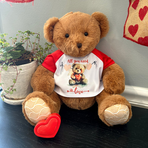 Recordable Teddy Bear with Custom Valentine's Shirt 