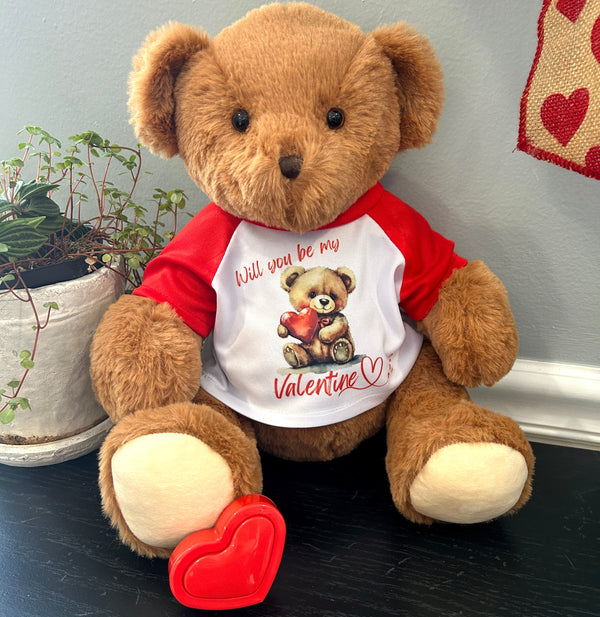 Recordable Teddy Bear with Custom Valentine's Shirt 