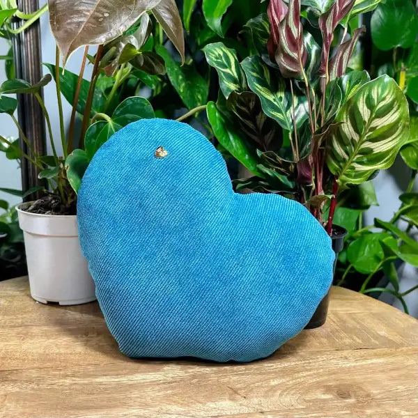 Voice Recording Gift Pillow