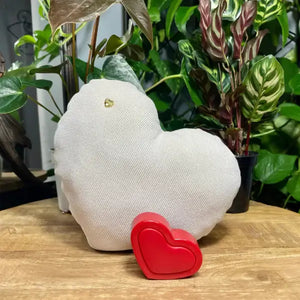 Voice Recording Gift Pillow
