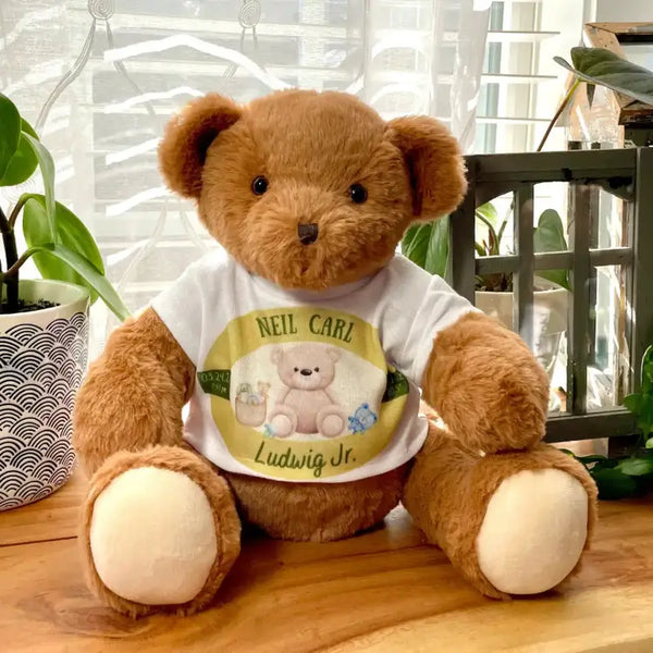 weighted bear with custom t-shirt