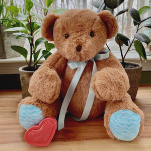 Video for Recordable Teddy Bear: Voice Recording Gift, Blue Paws