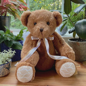 Video for Custom Weighted Baby Statistics Bear