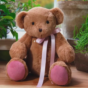 Video for Recordable Teddy Bear: Voice Recording Gift, Pink Paws