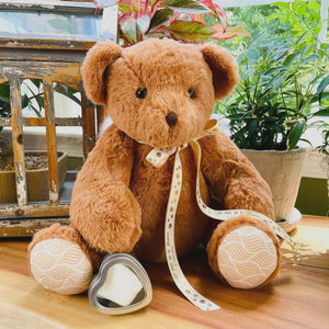 Video for Teddy Bear Pet Urns, 16" Huggable Urn for a Pet's Ashes