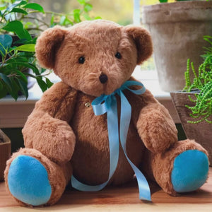 Video for Recordable Teddy Bear: Voice Recording Gift, Blue Paws