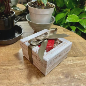 Video for Heart-shaped Recorder in Box