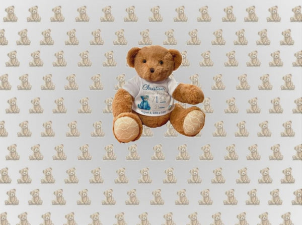 Walter's Bears Video Mobile Home